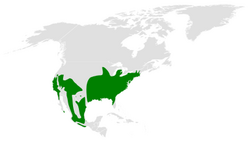 Baeolophus distribution map.png