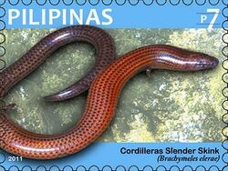 Brachymeles elerae 2011 stamp of the Philippines.jpg