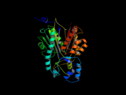 Chalcone Synthase X Ray Image.png