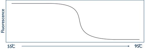 DNA melting scenatic curve.jpg