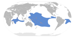 Gygis alba map.svg