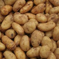 Kartoffeln Markt.jpg