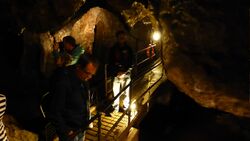 Tourists looking in different directions, while standing on an elevated wooden walkway surrounded by darkness in a cave.