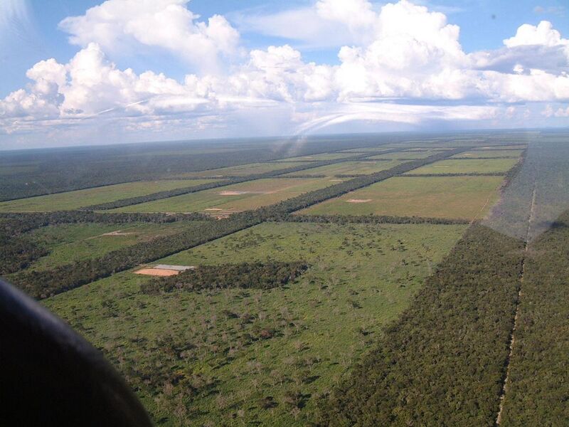 File:ParaguayChaco Clearings for cattle grazing.jpg