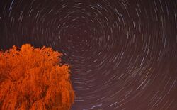 Star Trail above Beccles - geograph.org.uk - 1855505.jpg