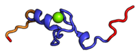 Structure of the eukaryotic ribosomal protein T. thermophila.png