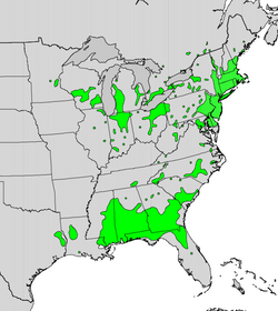 Toxicodendron vernix map.png