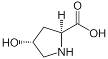 File:(2S,4R)-4-Hydroxyprolin.svg