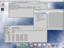 AmigaOS 4.1 on Sam460ex.png