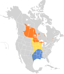 Ammodramus leconteii map.svg