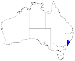 Boronia floribunda DistMap45.png