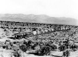 A train of over fifteen wagons crossing the desert, a flat sandy expanse with scrub-like bushes and a mountain range in the distance.