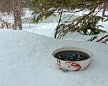 An image of decocted Chinese medicine 一貫煎 on snow, taken in the United States. The snow is on the border of a forest near a residential area, with a small lake in the background near trees.