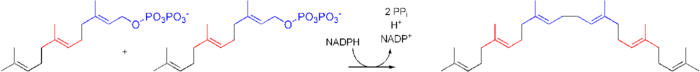 Cholesterol-Synthesis-Reaction10.png