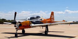 Commemorative painting of Brazilian Tucano.jpg