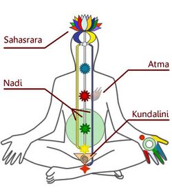 DiagrammaChakraKundalini.jpg