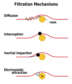 Four diagram each showing the path of small particle as it approaches a large fiber according to each of the four mechanisms