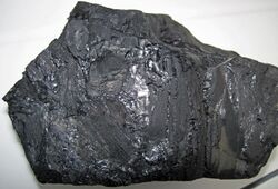 Fossiliferous bituminous coal (Clarion Coal, Middle Pennsylvanian; Prattsville West Roadcut, Vinton County, Ohio, USA) 1.jpg