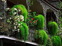French Quarter "Cast-Iron Balcony & Floral Baskets," New Orleans, Louisiana, U.S.A.jpg