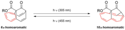 Homoaromatic Homoannulenes Wikipedia.png