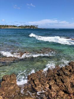 Kauai Spring Break.jpg