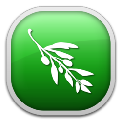 Olive Video Editor Logo.png
