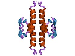 PDB 1pet EBI.jpg