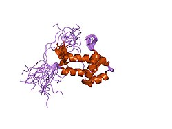 PDB 1x3a EBI.jpg