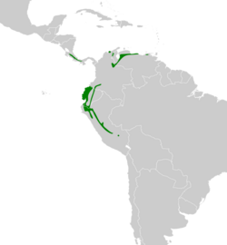 Pachyramphus albogriseus map.svg
