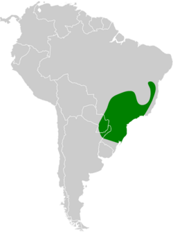 Schiffornis virescens map.svg