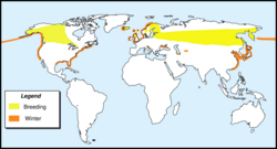 Slavonian Grebe-location-map-en.svg