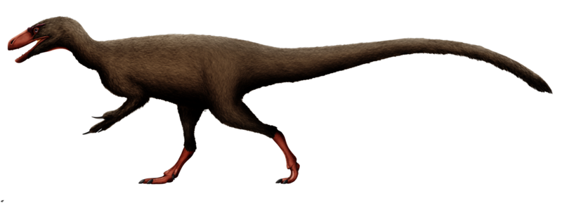 File:Tanycolagreus reconstruction.png