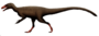 Tanycolagreus reconstruction.png