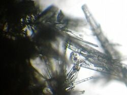Vanillin crystals.jpg