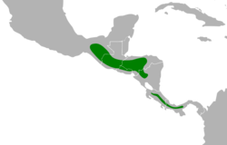 Amaurospiza concolor map after split with aequatorialis.svg