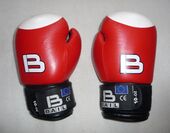 Boxing gloves Bail 10-OZ (1).jpg