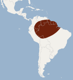 Distribution of Eumops trumbulli.png