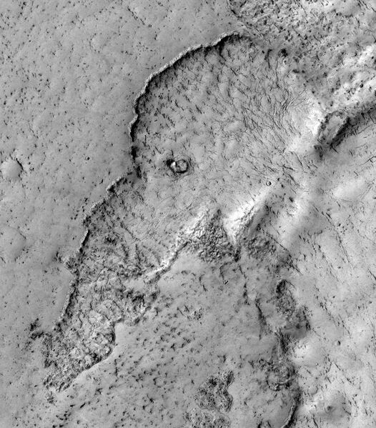 File:Elephant on Mars.jpg