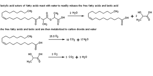 image of lactylate environmental fate