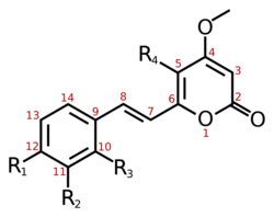 Kavalactone-general-numbered.svg