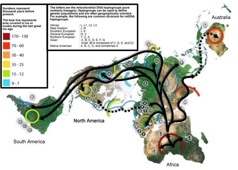 File:Map-of-human-migrations.svg