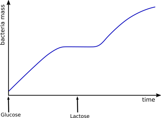 File:Monod's and Jabob's Growth Experiment.svg