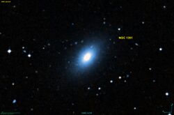 NGC 1351 DSS.jpg