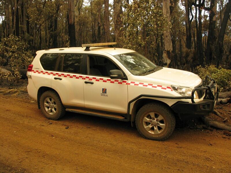 File:Toyota Land Cruiser Prado 4WD DPaW Perth Hills X-2014.JPG