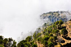 Volcan Tacana 2010-2.jpg