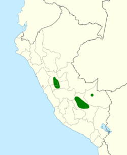 Amazilia viridicauda map.svg