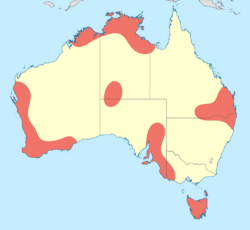 Austroagrion cyane distribution map.svg