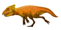 Breviceratops Restoration.png