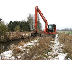 Clearing the stream bank (1) - geograph.org.uk - 1659141.jpg