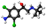 Clenbuterol ball-and-stick model.png